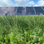 Onion River Solar farm