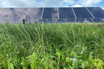 Onion River Solar farm