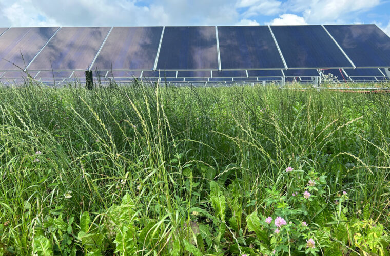 Onion River Solar farm