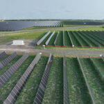 Peacock Energy Project