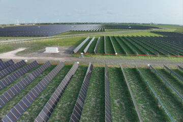 Peacock Energy Project