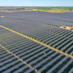 Phoebe Solar Farm