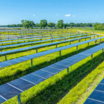 Prairie Ronde Solar Farm