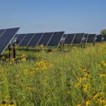 Prairie Wolf Solar farm