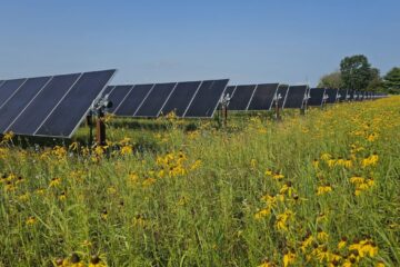 Prairie Wolf Solar farm