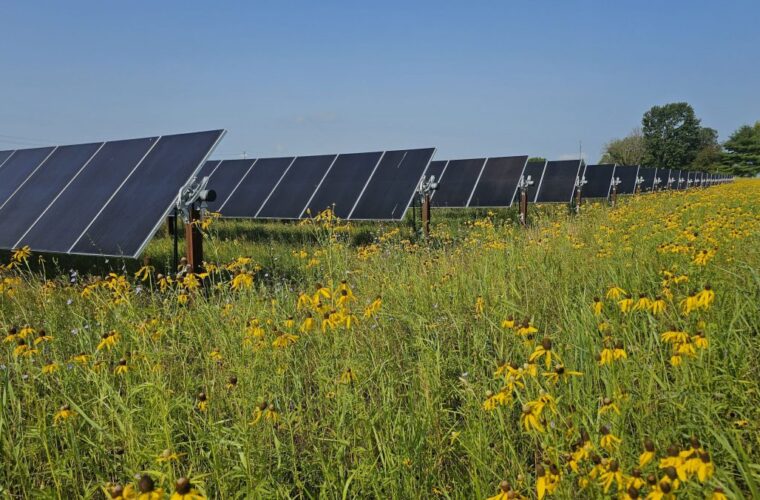 Prairie Wolf Solar farm