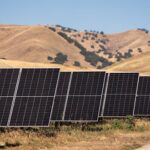Proxima solar farm