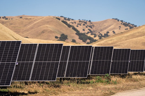 Proxima solar farm