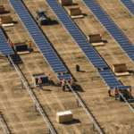 RE Maplewood Solar Farm