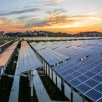 Red Tailed Hawk Solar