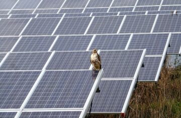 River Fork Solar