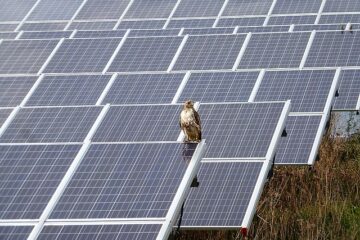 River Fork Solar