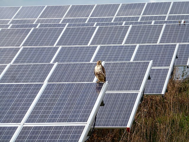 River Fork Solar
