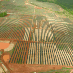 SR Lumpkin Solar farm
