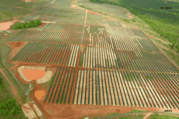 SR Lumpkin Solar farm