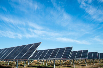 Sadler Solar farm