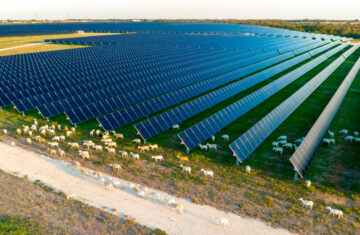 Second Division Solar
