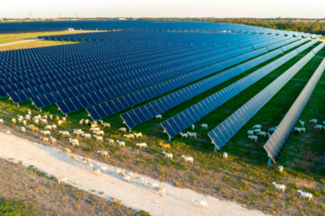 Second Division Solar