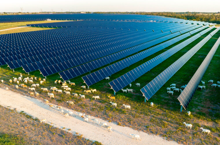 Second Division Solar