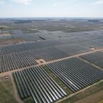 Fox Squirrel Solar