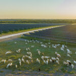 Starr Solar Ranch