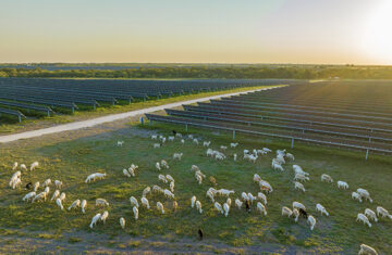 Starr Solar Ranch