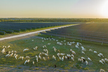 Starr Solar Ranch