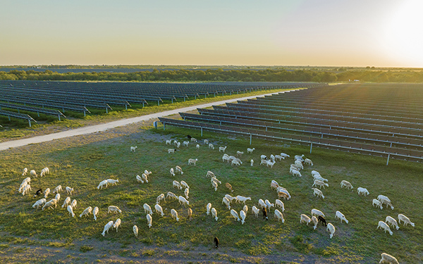 Starr Solar Ranch
