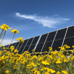 Taygete II Energy Project