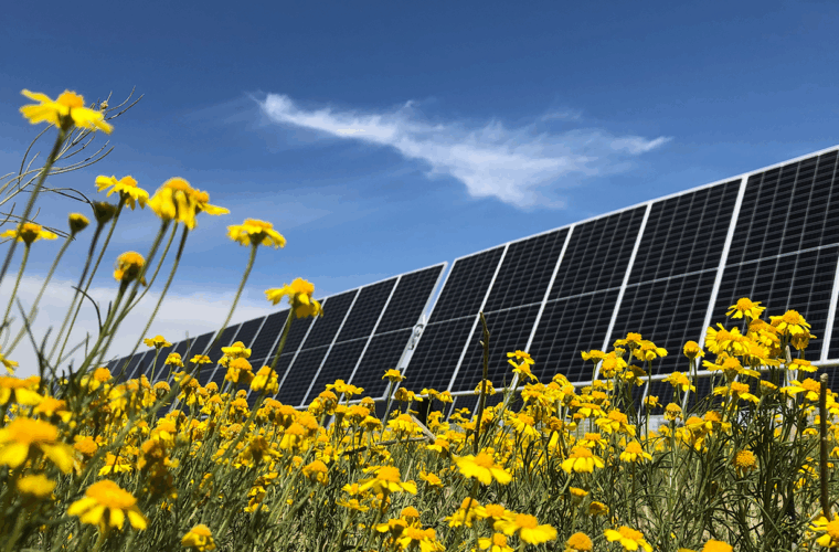 Taygete II Energy Project