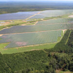 Twiggs Solar farm