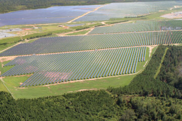Twiggs Solar farm