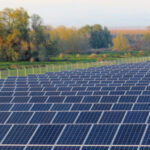 White Pine Solar farm