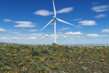 Wild Horse wind farm