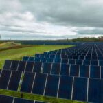 Wildflower Solar