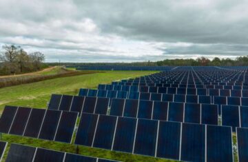 Wildflower Solar