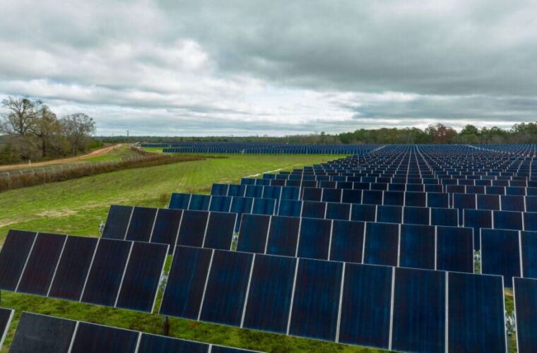Wildflower Solar