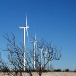 Wildorado Wind