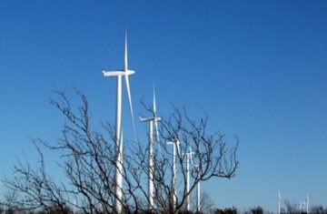 Wildorado Wind