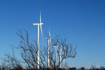 Wildorado Wind
