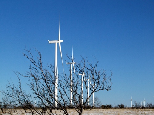 Wildorado Wind