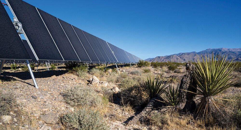 Yellow Pine Solar