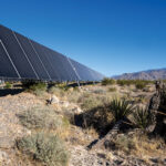 Yellow Pine Solar