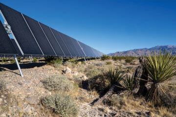 Yellow Pine Solar