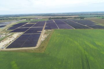 Yellowbud Solar farm