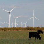 Capricorn Ridge Wind farm