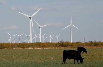 Capricorn Ridge Wind farm