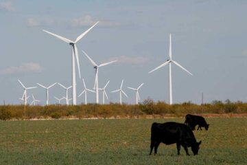 Capricorn Ridge Wind farm