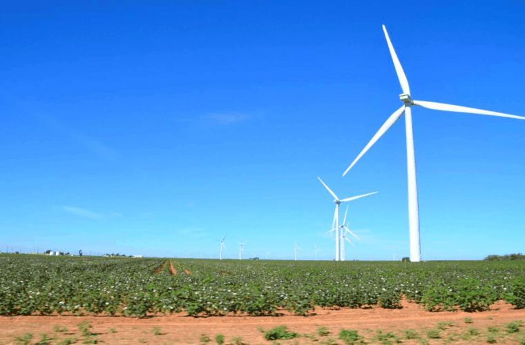 Pyron Wind Farm