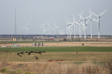 Taloga Wind